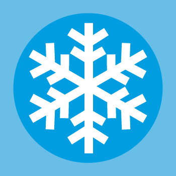 Microstructure mapping in polar ice cores