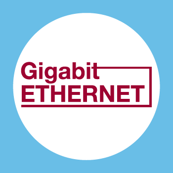 Interface: GigE