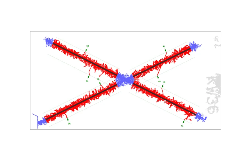 Analysis results for filiform corrosion