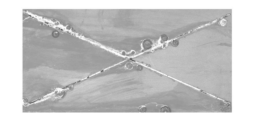 Corrosion Inspector: Image of a test panel exposed to a salt spray test
