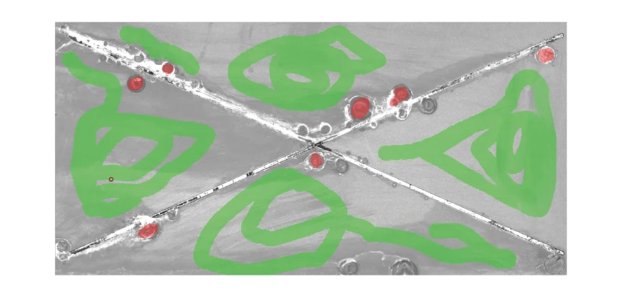 Corrosion Inspector: Annotations to mark background, blisters and scribes. The inset shows the assignment of colors: scribe in black, background in green and blisters in red.